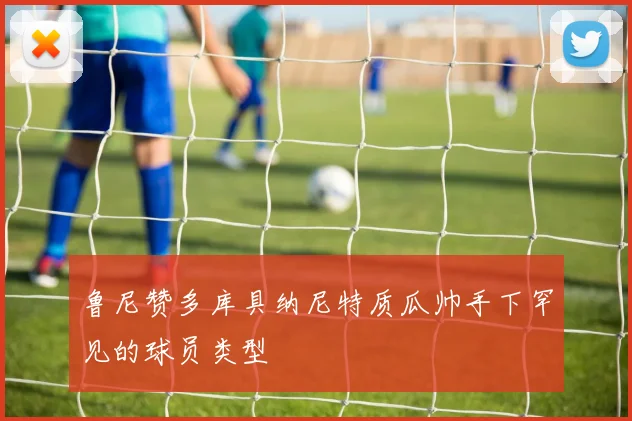 鲁尼赞多库具纳尼特质瓜帅手下罕见的球员类型