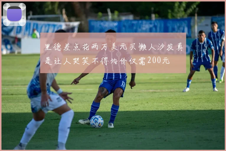 里德差点花两万美元买懒人沙发真是让人哭笑不得均价仅需200元